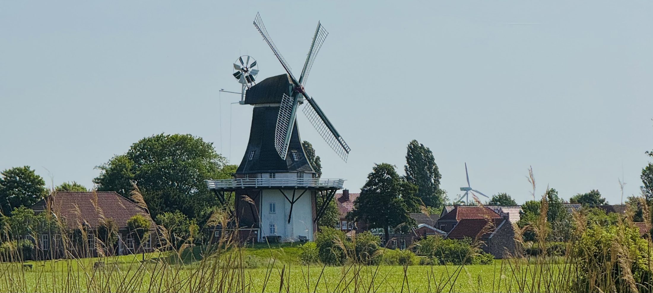 Weite Wiese vor einer der Greetsieler Zwillingsmühlen unter hohem Himmel